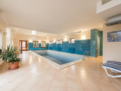 Green plant in a pot against a clean wall.